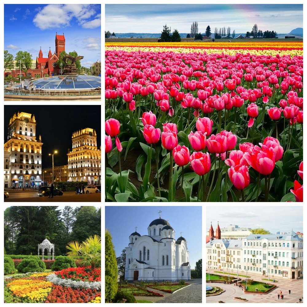 Цветочное путешествие в «Белорусскую Голландию» (Мотоль, Тышковичи, Минск, Полоцк)