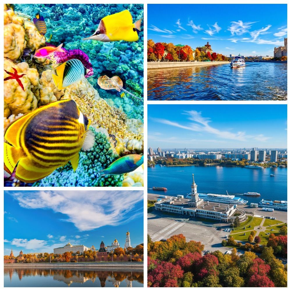 Москва – порт пяти морей (Океанариум, прогулка по Москве-реке, Северный речной вокзал)