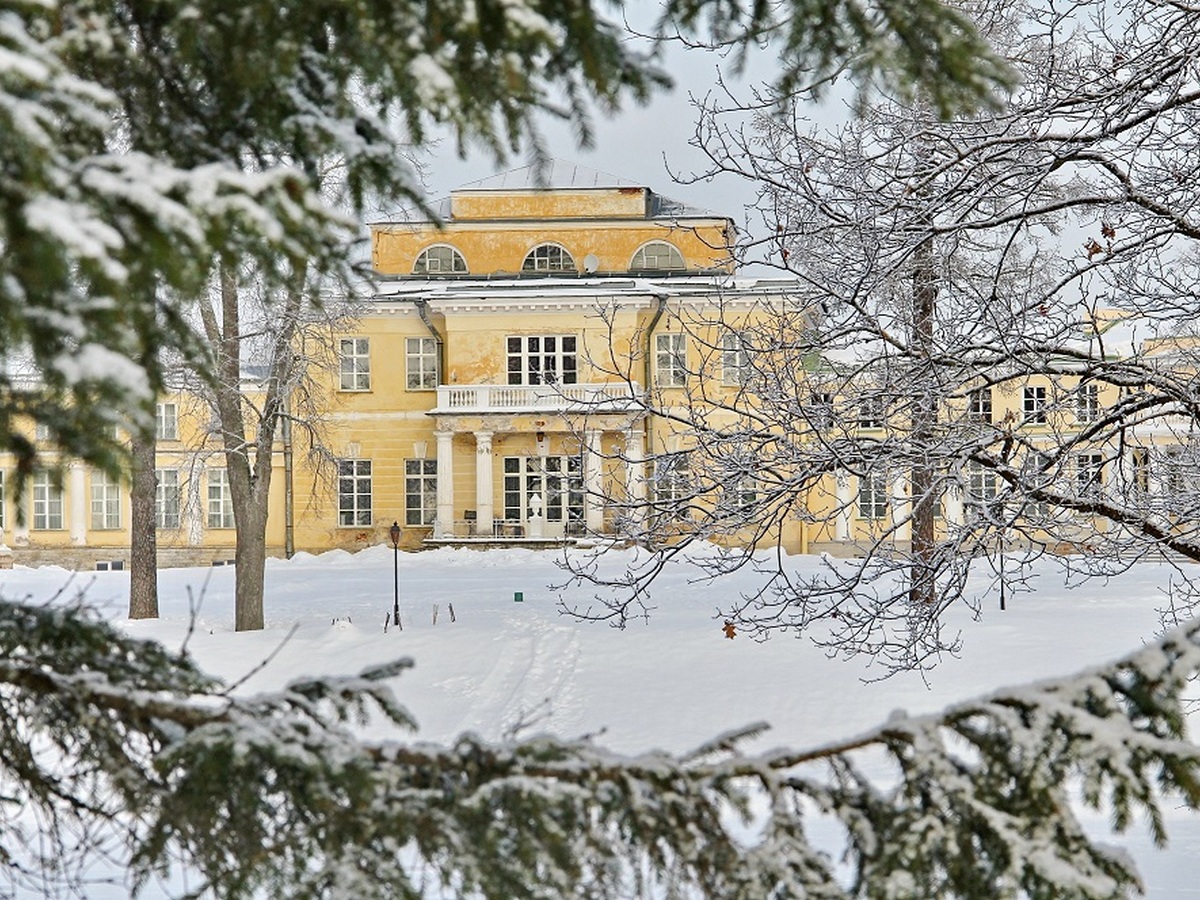 Предновогоднее настроение в усадьбе Марьино – там, где живет история (картинная галерея, парк, ферма, каретный двор)